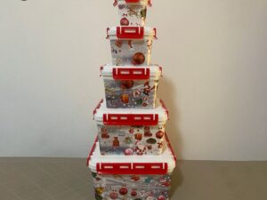 tajplast LOT DE BOITES CARRE - 5 PIECES